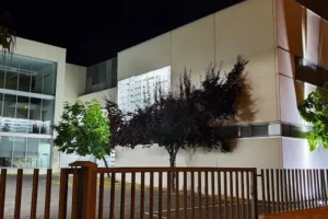 Centro de Salud SESCAM de Talavera de la Reina 5 (Río Tajo)