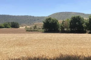 Consultorio Local SESCAM de Valdearenas