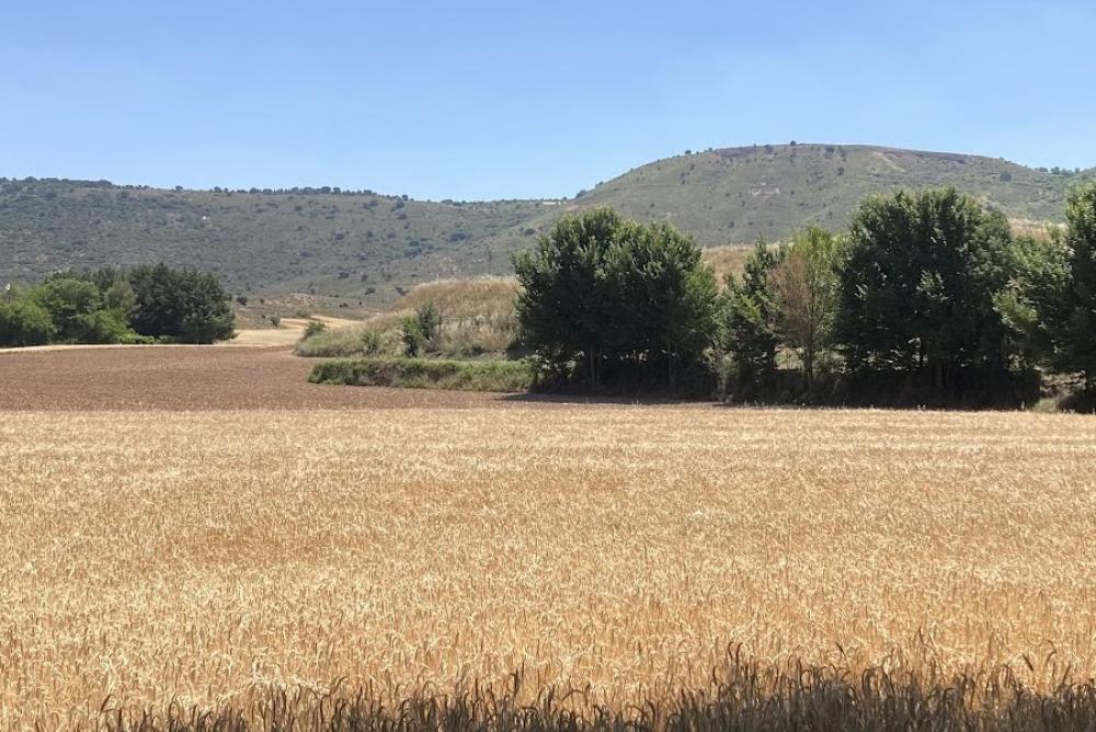 Consultorio Local SESCAM de Valdearenas